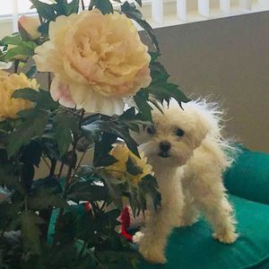 Meet your Posher, Jeanne